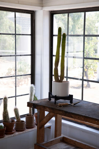 PLANT STANDS