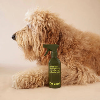 PET CARE