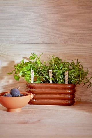 PLANTERS