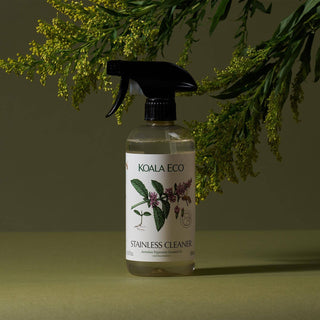 Peppermint Stainless Steel Cleaner