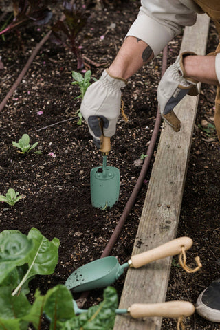 Garden Trowel: Ash/Mint
