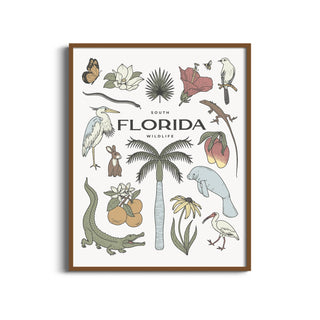Florida Wildlife: 40x50 cm / 16x20″