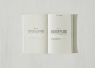 The Pivot Year - book: Paperback