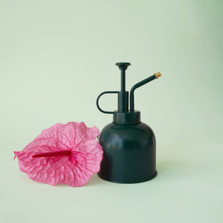 Plant Mister : Palm