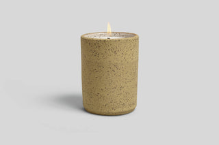 Joshua Tree 12 oz. Ceramic Candle