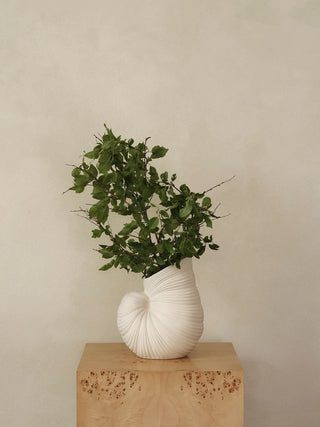 Shell Vase |