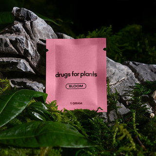1G Bag (Bloom)