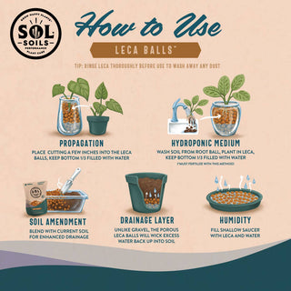 Amendments (2Qt) LECA Balls: 2 Quarts