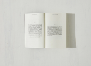 The Pivot Year - book: Paperback