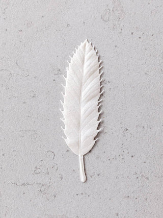 HA KO Paper Incense - Winter, Sweet Ginger
