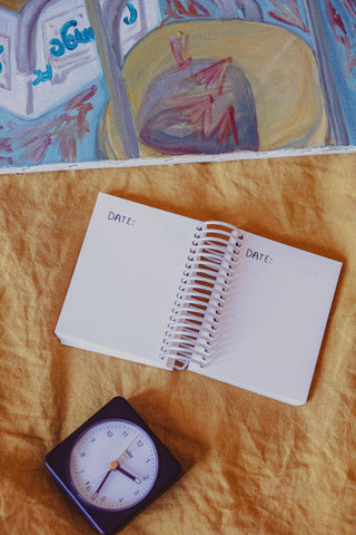 Just One Thing Journal