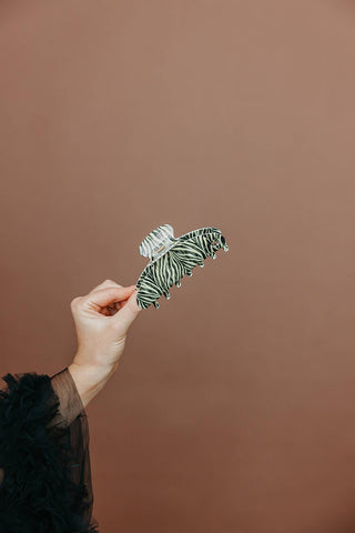 KAXI Zebra Acetate Claw - MIDI