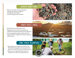 Amendments (1Qt) Chunky Perlite: 1 Quart