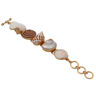 Alchemia Multi-Shell Bracelet