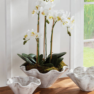 Wakefield Handmade Wiley Pot #10, White Ash: White Ash / Ceramic