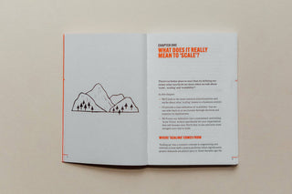 Do Scale, Guide to Growing Your Business: Paperback