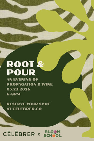 Root + Pour CELEBRER x Bloom School