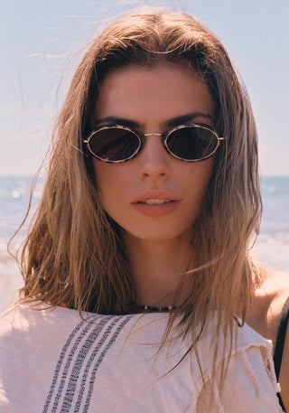 KATE I Nikko Tortoise