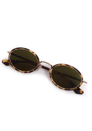 KATE I Nikko Tortoise