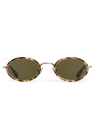 KATE I Nikko Tortoise