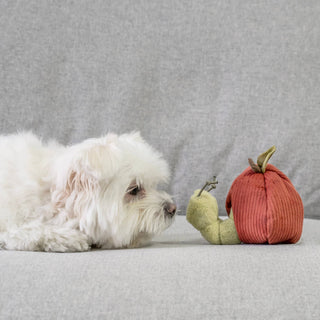 FRUIT SET // ENRICHMENT DOG TOY // SNUFFLE TOY SET