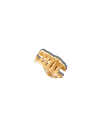 Spiral Shell Claw Hair Cli