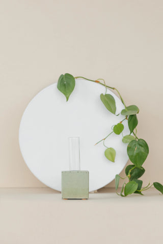 Propagation Vase | Cutting Holder
