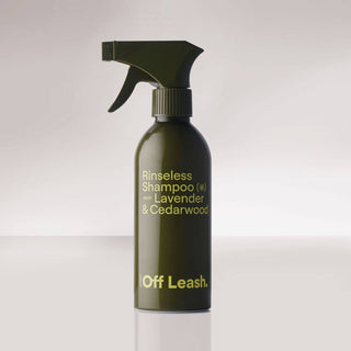 Rinseless Shampoo
