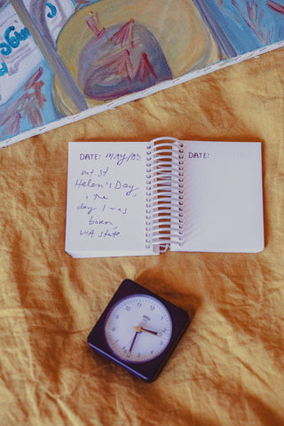 Just One Thing Journal
