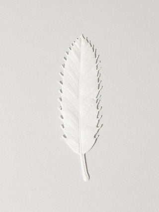 HA KO Paper Incense - Winter, Sweet Ginger