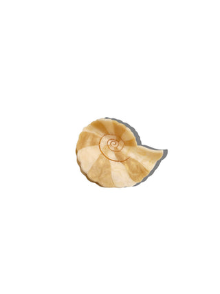 Spiral Shell Claw Hair Cli