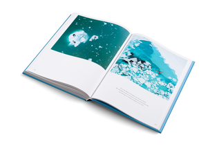 The Oceans