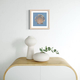 Pearl Scallop Art Print: 6x6"